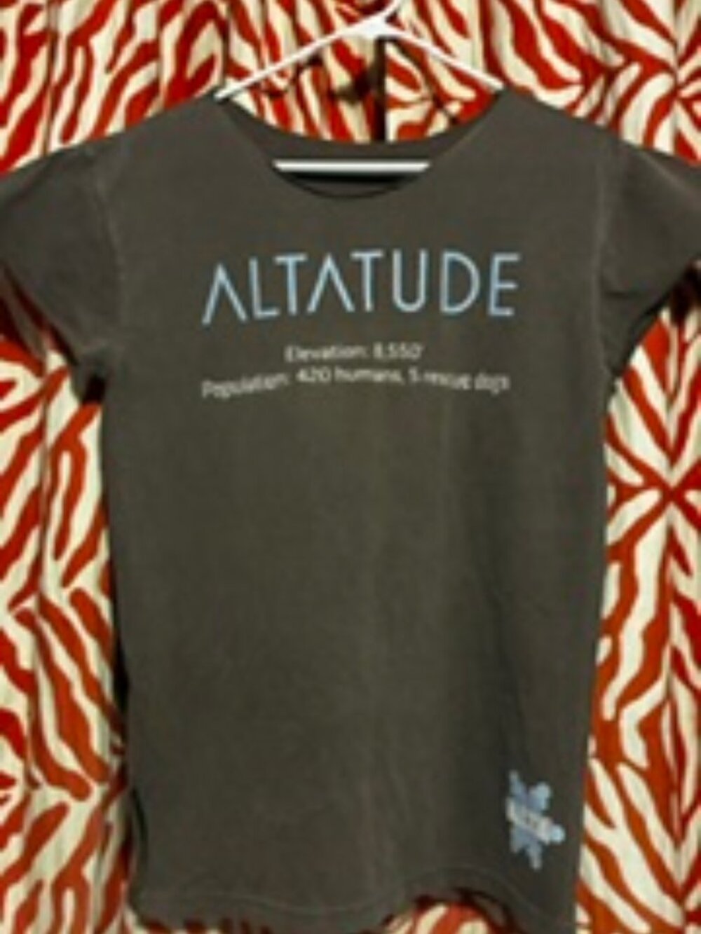 Alta Ski resort T-shirt in cafe brown, 100% Cotton, Size Large